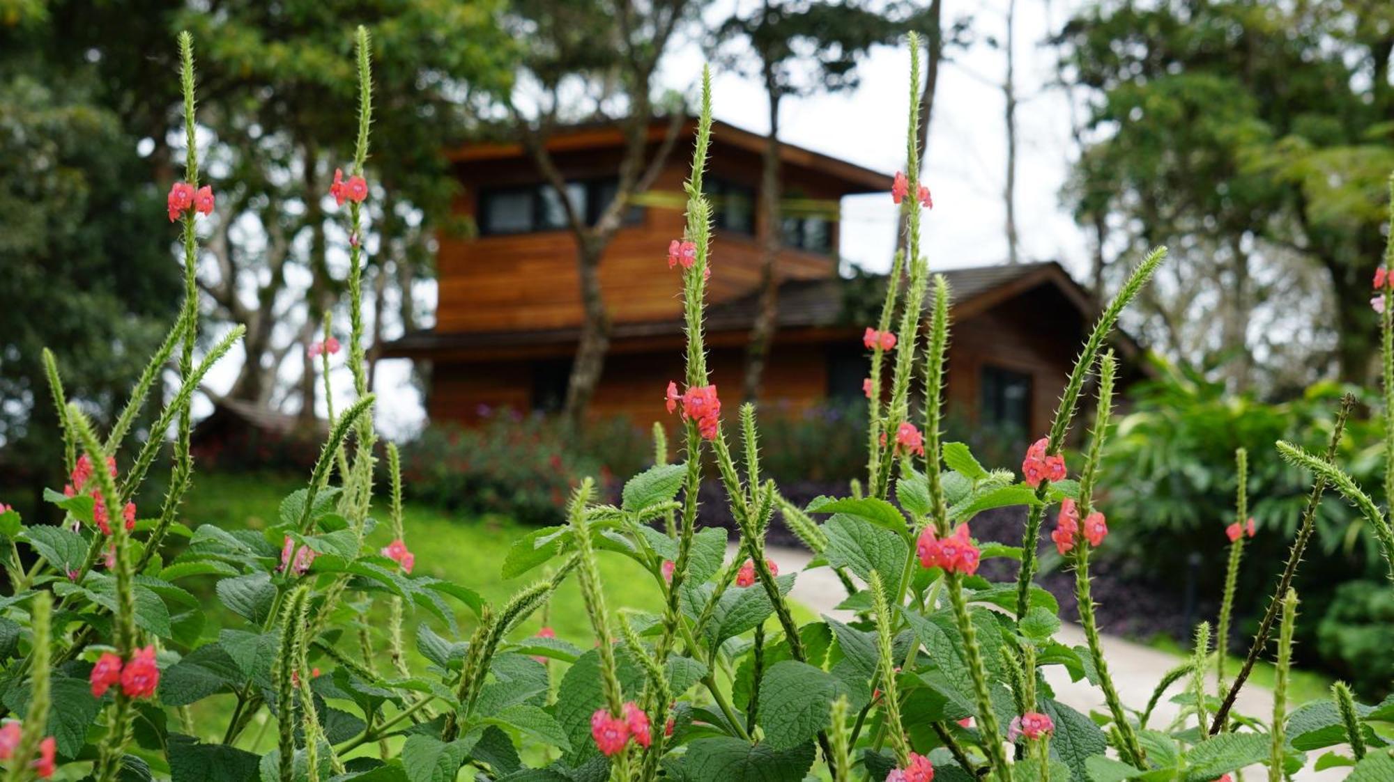 Lucero Golf And Country Club Tree Houses Bajo Bajo Boquete Exterior foto